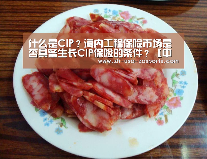 什么是CIP？海内工程保险市场是否具备生长CIP保险的条件？【中欧体育官网入口，