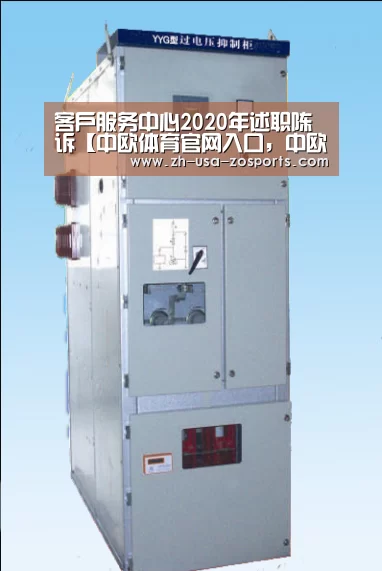 客户服务中心2020年述职陈诉【中欧体育官网入口,中欧体育官方下载,中欧体育平台】(图3) 中欧体育官网入口,中欧体育官方下载,中欧体育平台