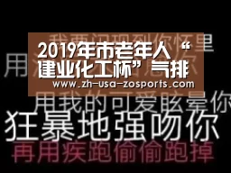 2019年市老年人“建业化工杯”气排球邀请赛收官‘中欧体育官网入口，中欧体育官方