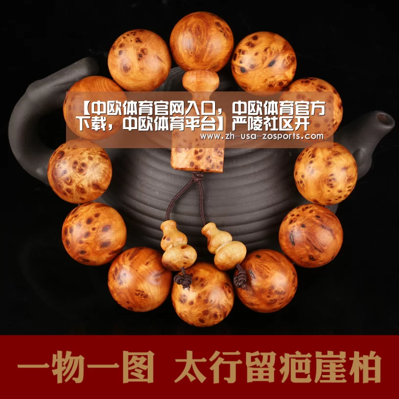中欧体育官网入口，中欧体育官方下载，中欧体育平台