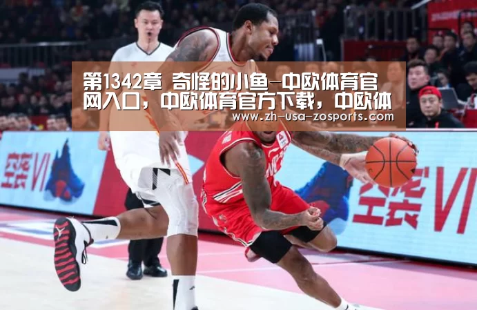 中欧体育官网入口，中欧体育官方下载，中欧体育平台